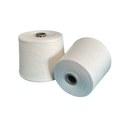 Custom 30S/2 Rayon Hot 100% Viscose Rayon White Spun 20S Dyed 300D Ring Spun Yarn